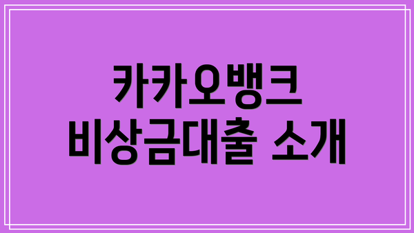 카카오뱅크 비상금대출 소개