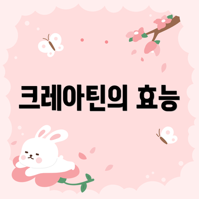 크레아틴의 효능