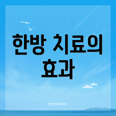 한방 치료의 효과