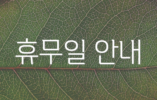 휴무일 안내