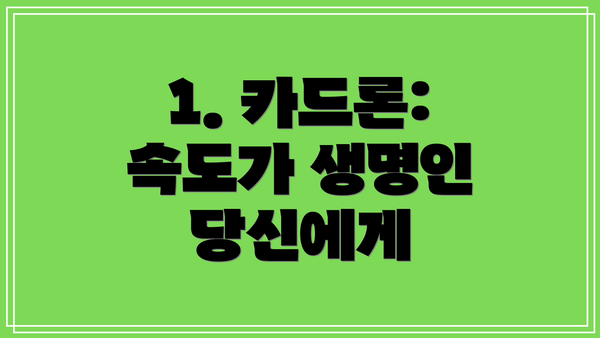 1. 카드론: 속도가 생명인 당신에게