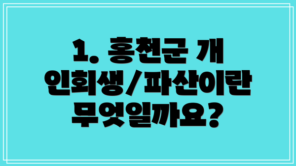 1. 홍천군 개인회생/파산이란 무엇일까요?