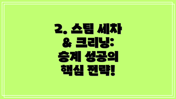 2. 스팀 세차 & 크리닝: 승계 성공의 핵심 전략!