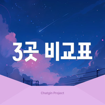 3곳 비교표