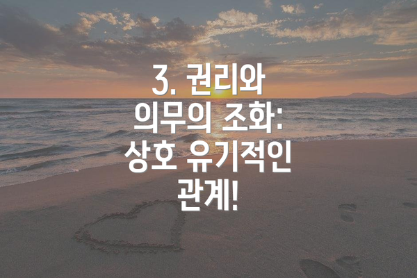 3. 권리와 의무의 조화:  상호 유기적인 관계!