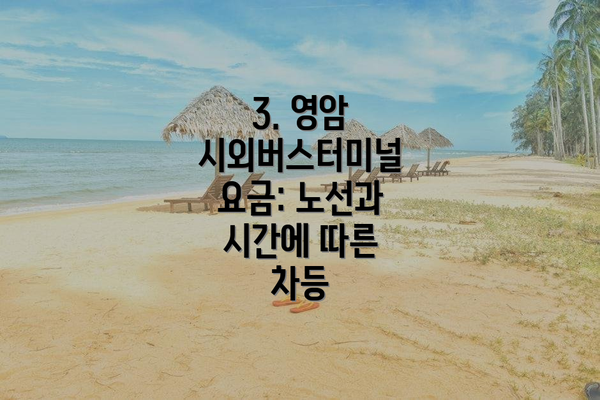 3. 영암 시외버스터미널 요금: 노선과 시간에 따른 차등