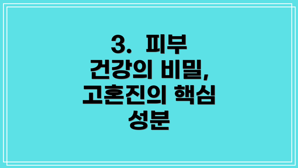 3.  피부 건강의 비밀, 고혼진의 핵심 성분