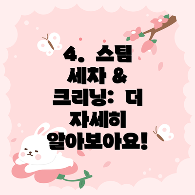 4.  스팀 세차 & 크리닝:  더 자세히 알아보아요!