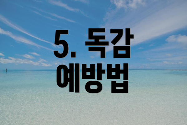 5. 독감 예방법