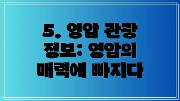 5. 영암 관광 정보: 영암의 매력에 빠지다