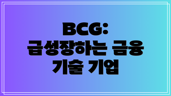 BCG: 급성장하는 금융 기술 기업